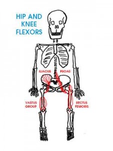 hip-flexor-pain