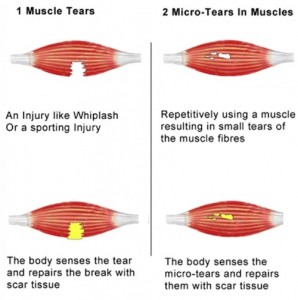 how-adhesion-forms