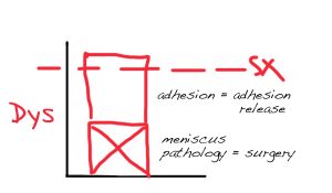 dysfunction-blocks-meniscus-adhesion