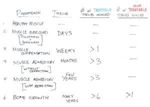 pathophysiology-of-degeneration