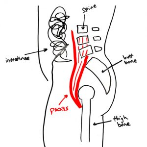 you-cant-graston-technique-the-psoas