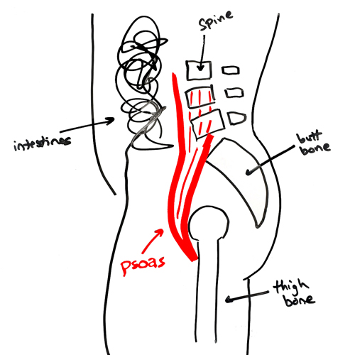 you-cant-graston-technique-the-psoas