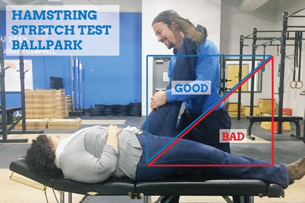 hamstring-stretcpiriformis-syndrome-treatment-hamstring-stretch-testh-test-ballpark