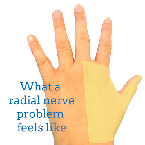 radial-nerve-back-hand