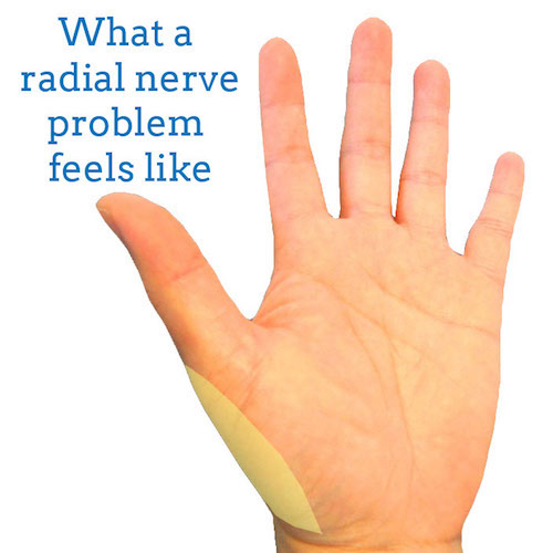 radial-nerve-front-hand