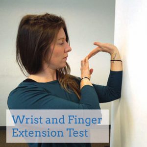 wrist-and-finger-extension