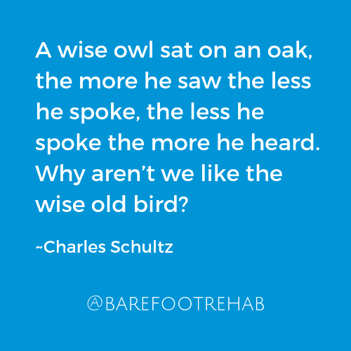 wise-owl