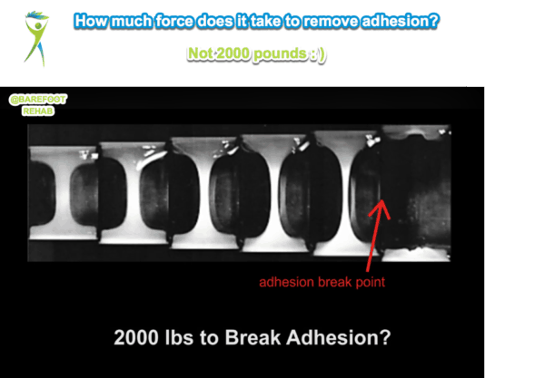 myofascial-release-break-adhesion