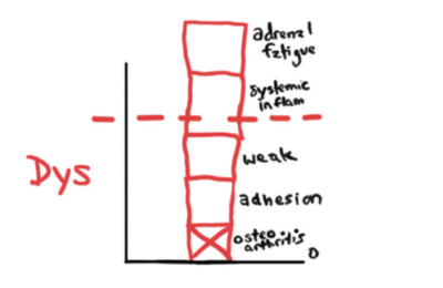 Low Back Pain Icd10 Dysfunctions E1655735567848 400x260 